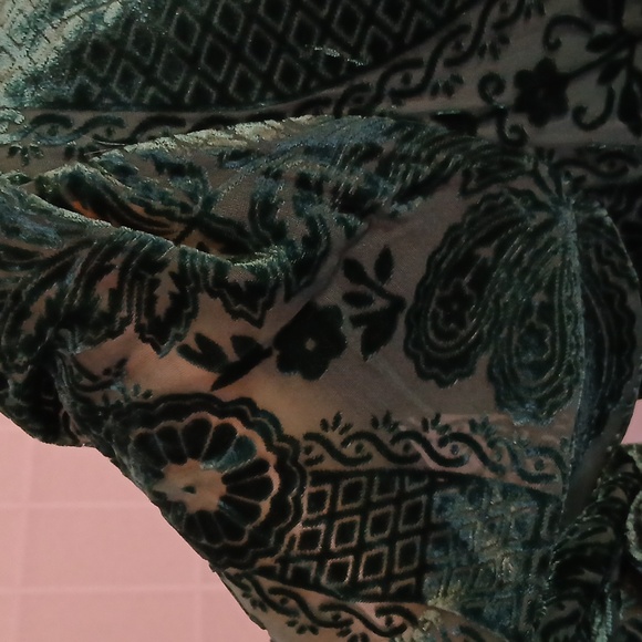 Soft Surroundings Vanetta Velvet Top - Picture 6 of 11